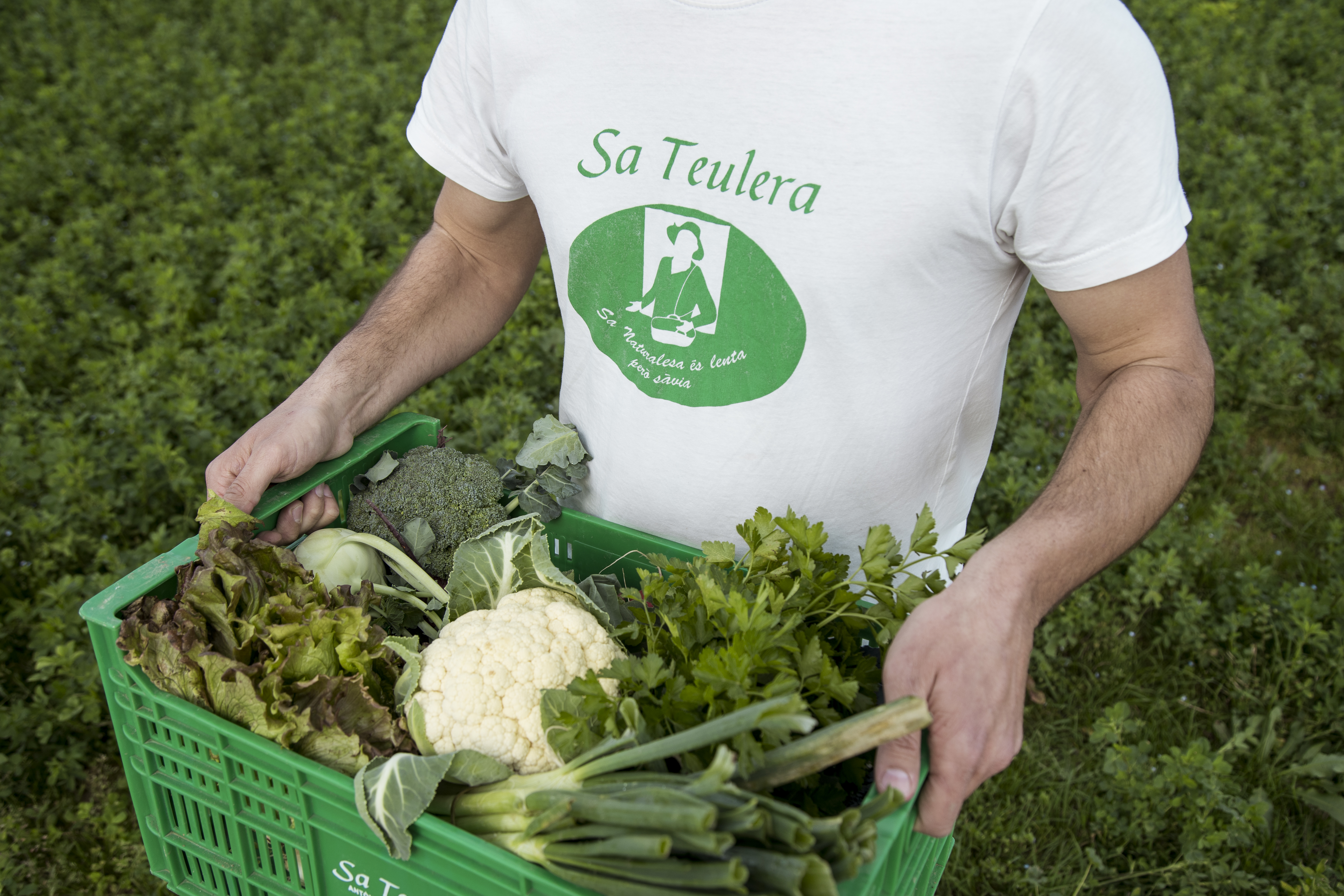 mallorca sustainable tourism