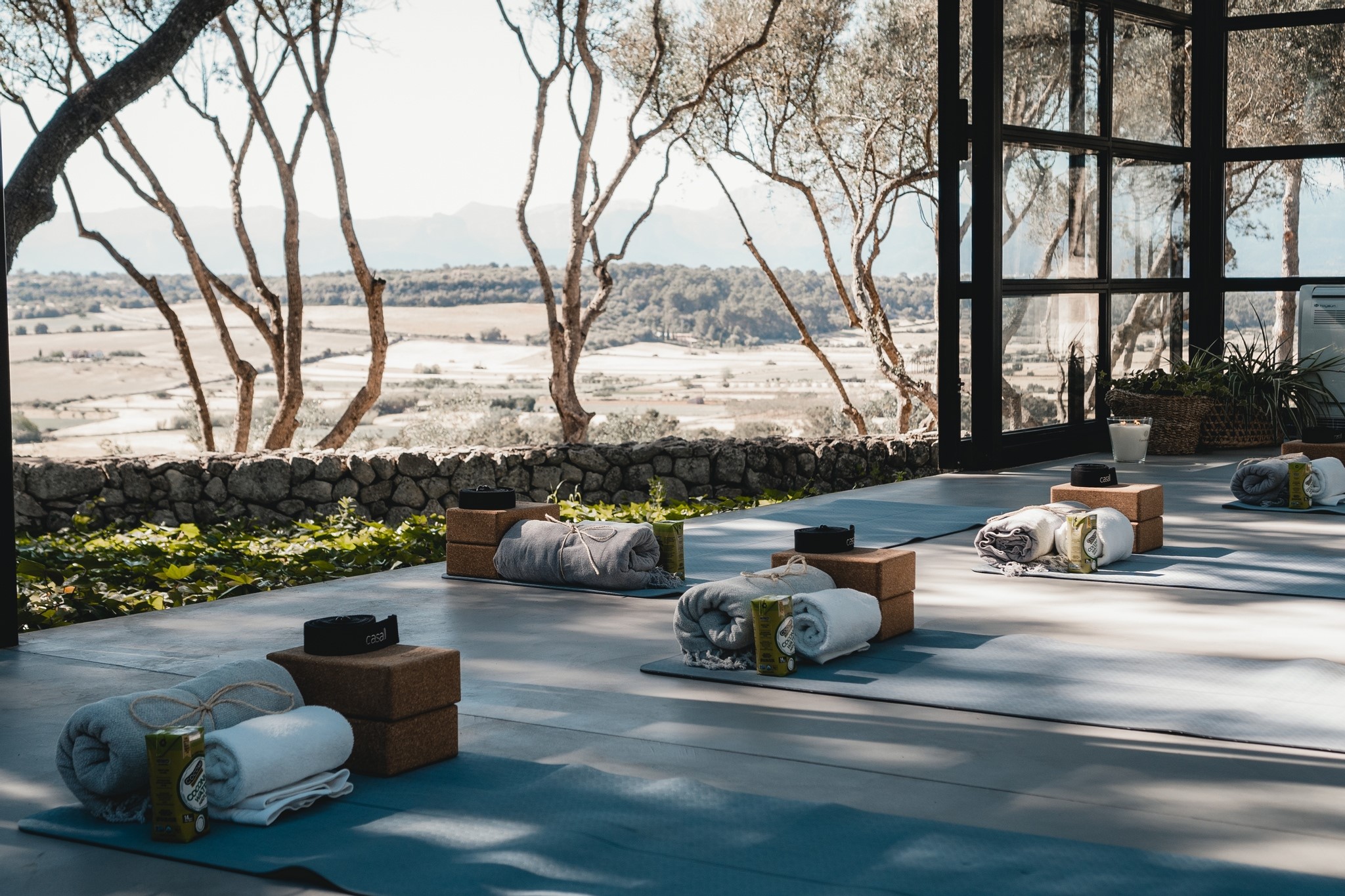 Yoga en plena naturaleza, Finca Serena, Mallorca, oasis de turismo de bienestar