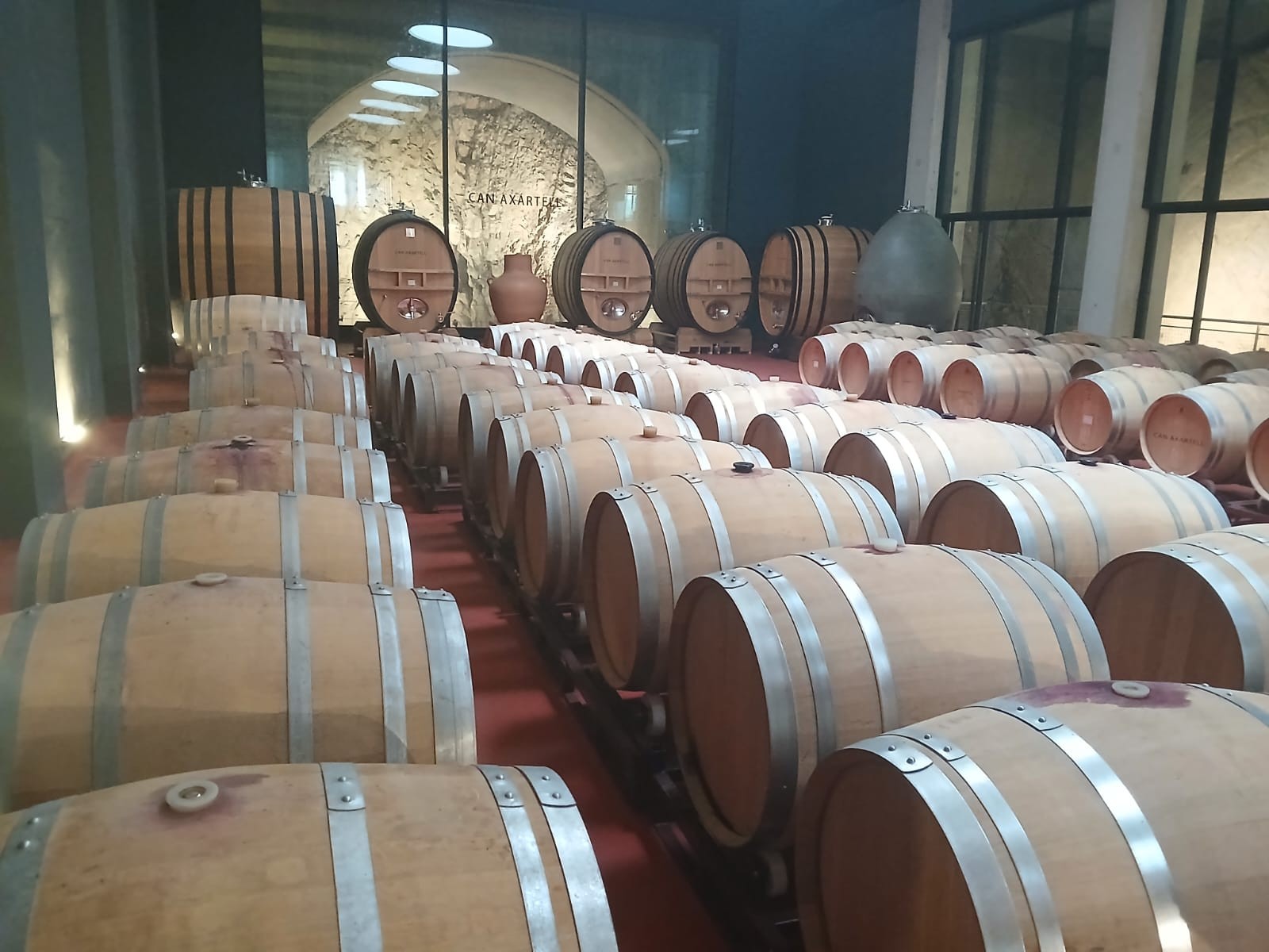 Son Brull collaborates with the nearby Can Axartell Winery to create its own range of organic wines.